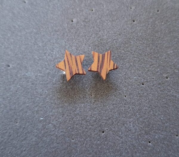 Holzohrstecker Stern